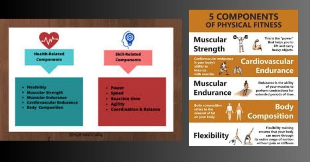 Key Components of Lifestyle Fitness