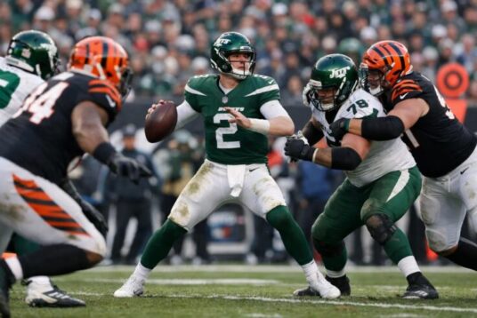 New York Jets vs Bengals Match Player Stats and Game Analysis