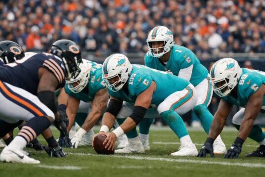 Miami Dolphins vs Chicago Bears Match Player Stats Explained