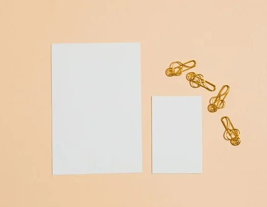 22k gold hair clips