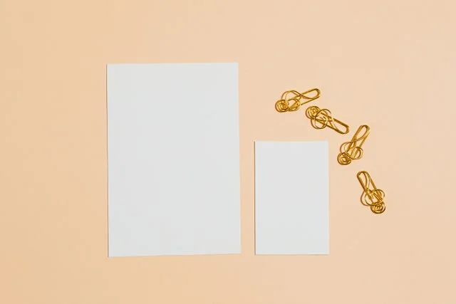 22k gold hair clips